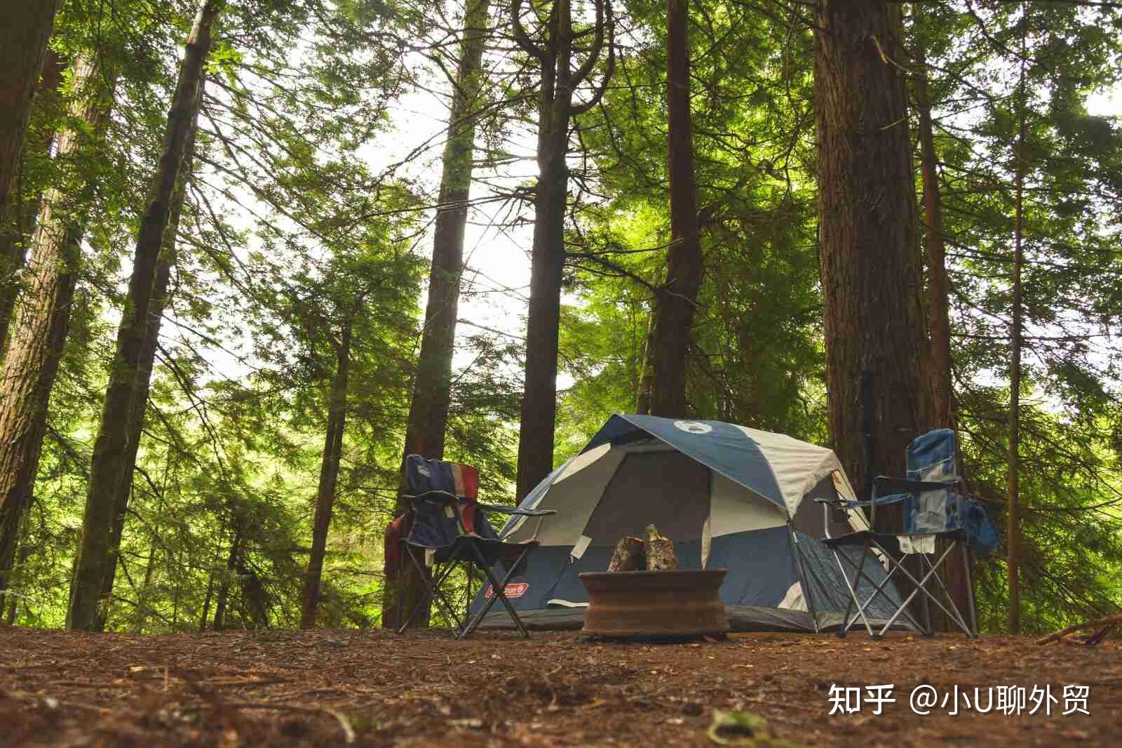 爱游戏官网-包含赛地聚焦——法甲窗口期热度飙升，尤文图斯防线松动，更衣室稳定，控场能力受关注的词条